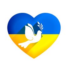 The war in Ukraine